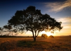 sunset 9-2-12 You Yangs